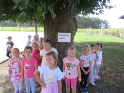 2025-09-18 Przytul się do drzewa